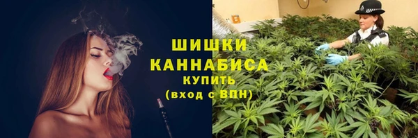 ГАЛЛЮЦИНОГЕННЫЕ ГРИБЫ Семёнов