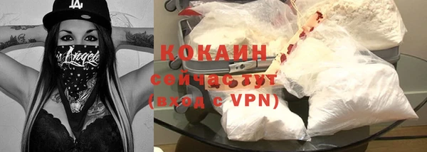 прущие грибы Семилуки