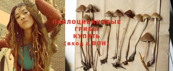 мдпв Беломорск