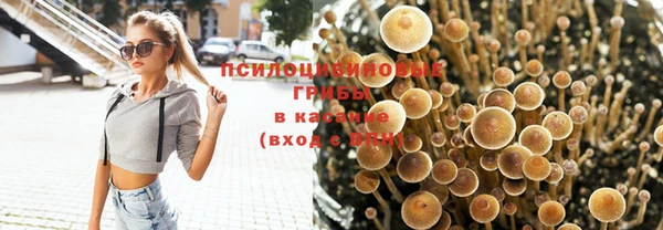 не бодяженный Белокуриха