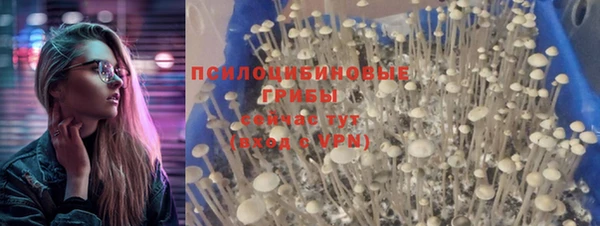прущие крисы Белоозёрский