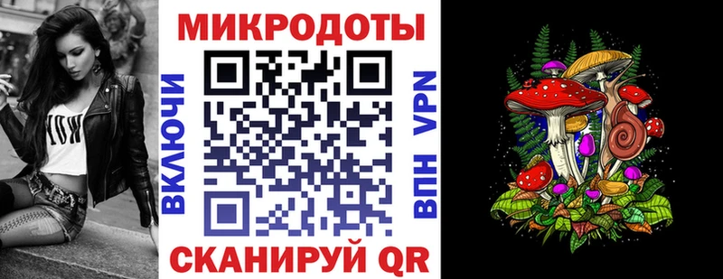 цены   Звенигород  Галлюциногенные грибы Cubensis 